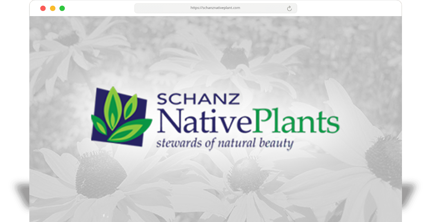 Schanz Native Plants - schanz LP 1